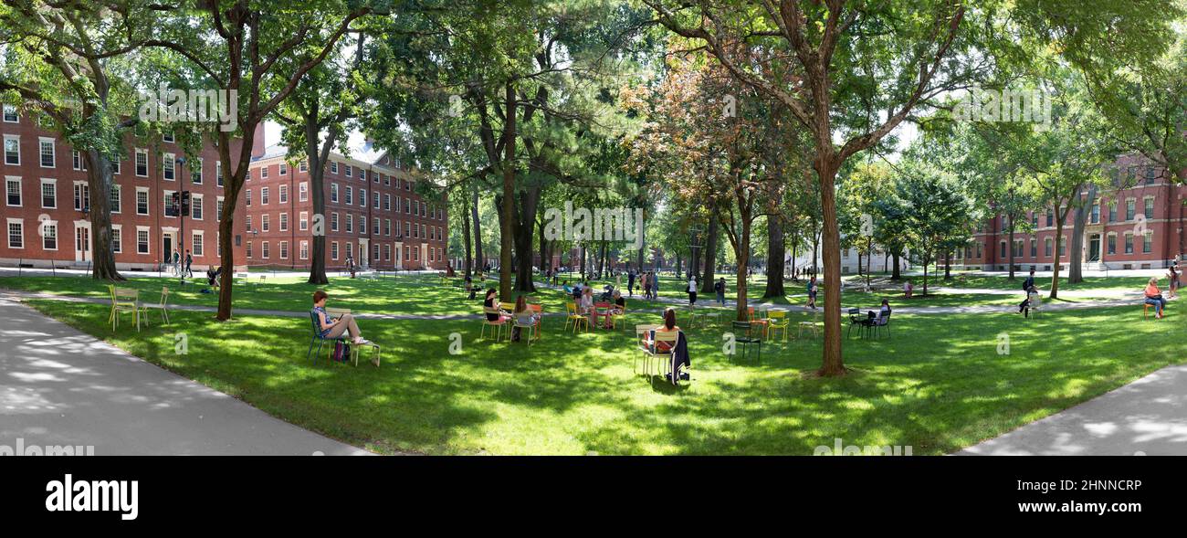 Students and tourists rest in lawn chairs in Harvard Yard, the open old
