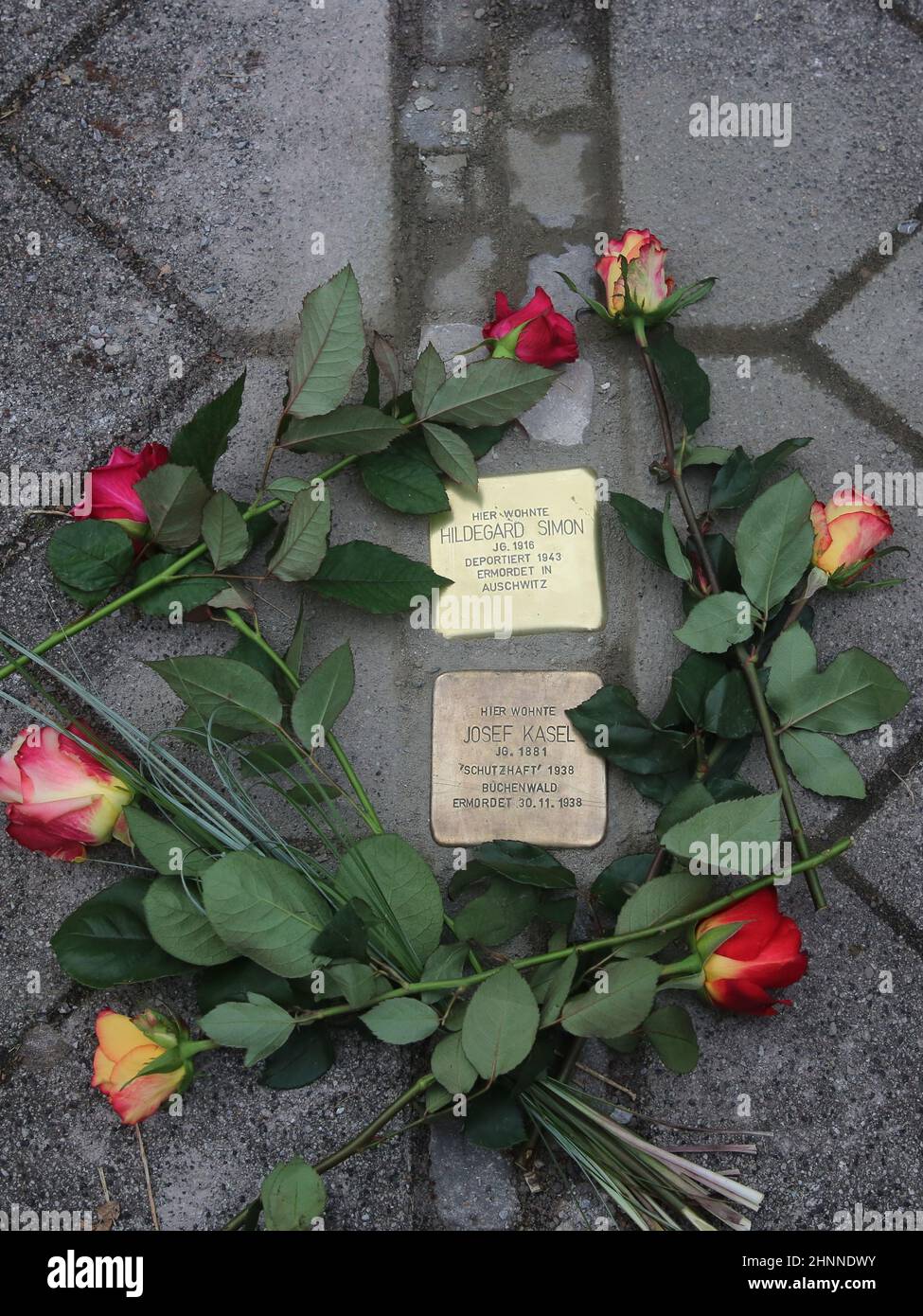 Gunter Demnig verlegte Stolpersteine mit Blumen am 11.11.2021 Magdeburg Stock Photo