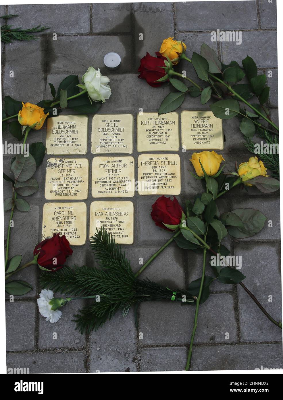 Gunter Demnig verlegte Stolpersteine mit Blumen am 11.11.2021 Magdeburg Stock Photo