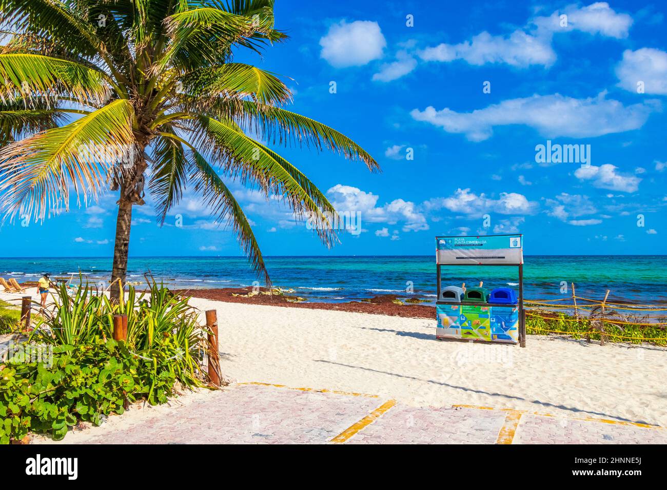 Tropical palm tree with blue sky Playa del Carmen Mexico. Stock Photo