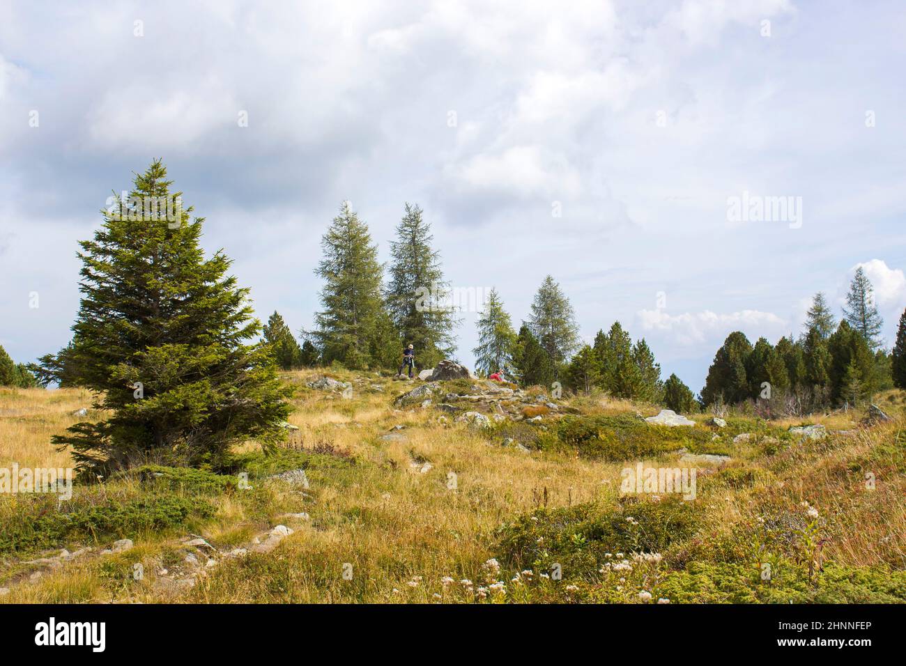 Landscape in Austian Alps, Steiermark, Austria Stock Photo