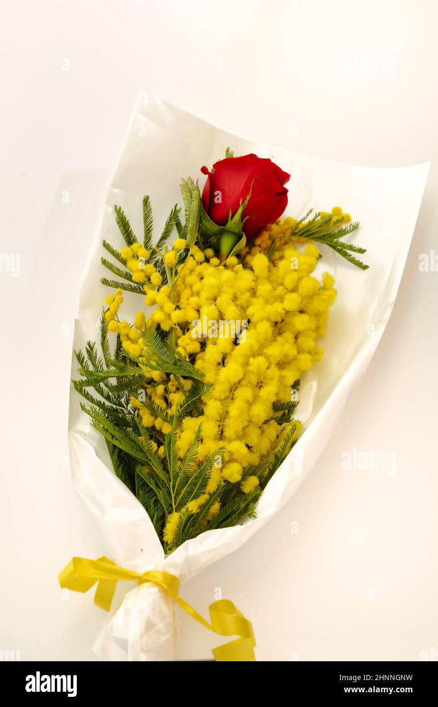 floral arrangement made up of a red rose and a bunch of mimosa (acacia dealbata) on the occasion of March 8, celebration of Women’s Day. Stock Photo