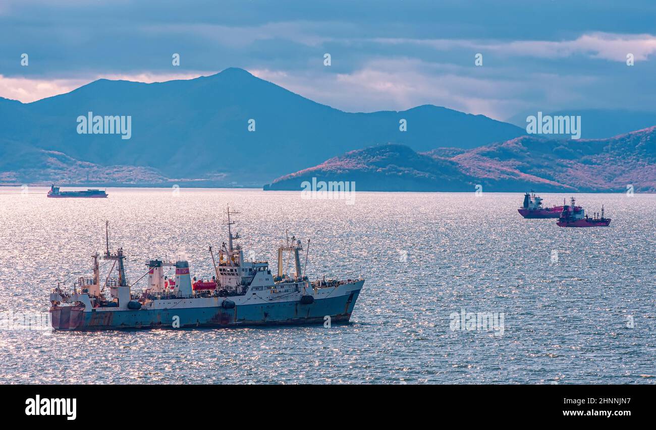 Fishing seiners and cargo ships in Avacha Bay in Kamchatka peninsula Stock Photo
