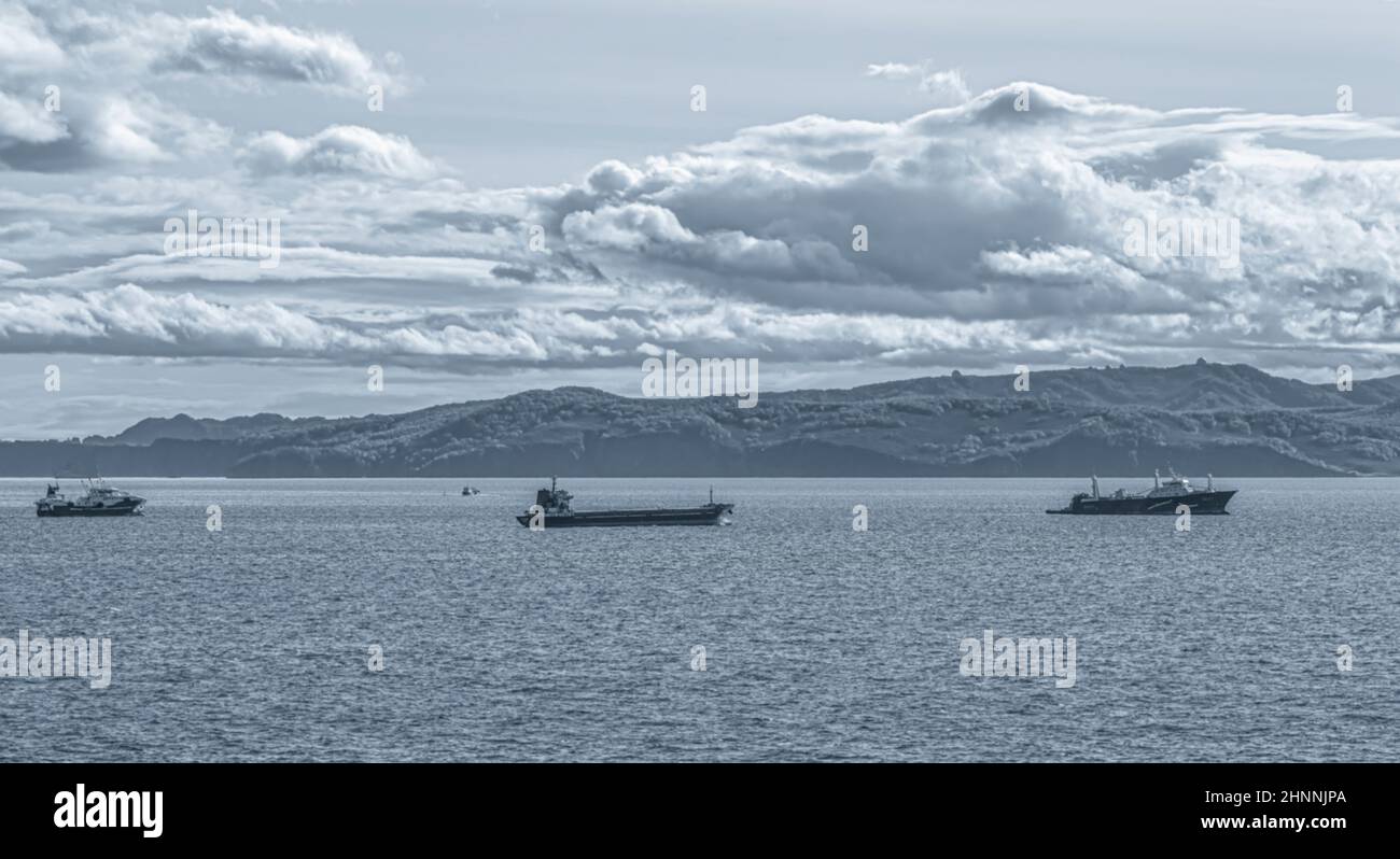 blurred view of  Fishing seiners and cargo ships in Avacha Bay in Kamchatka peninsula Stock Photo