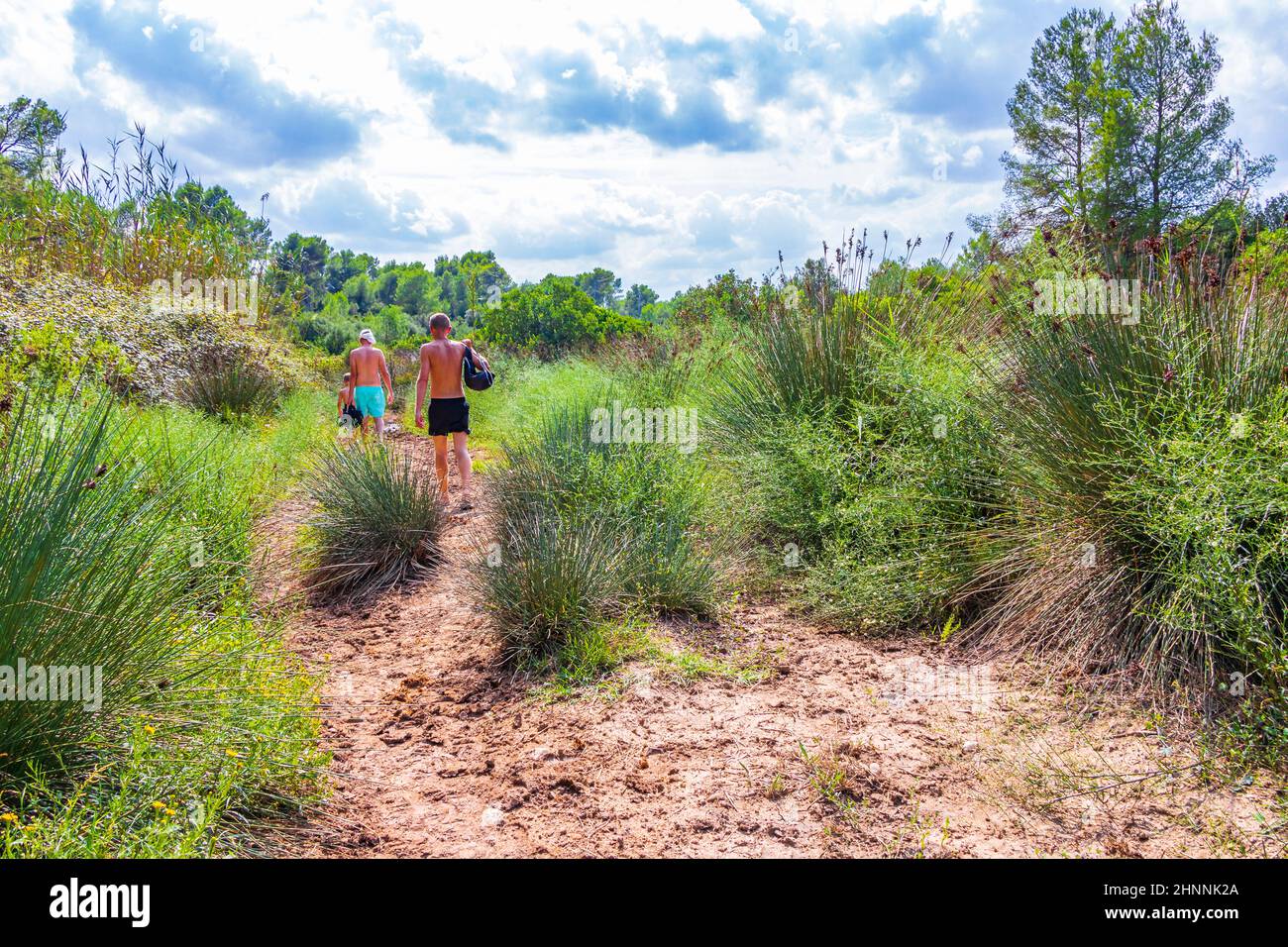 Natural forest landscape trekking path Can Picafort Mallorca Spain. Stock Photo