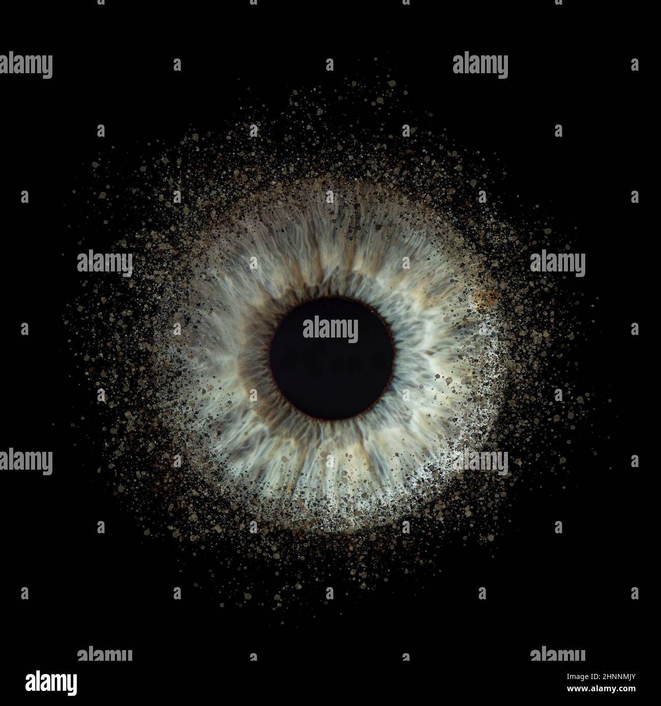 macro photo of a human eye Stock Photo - Alamy