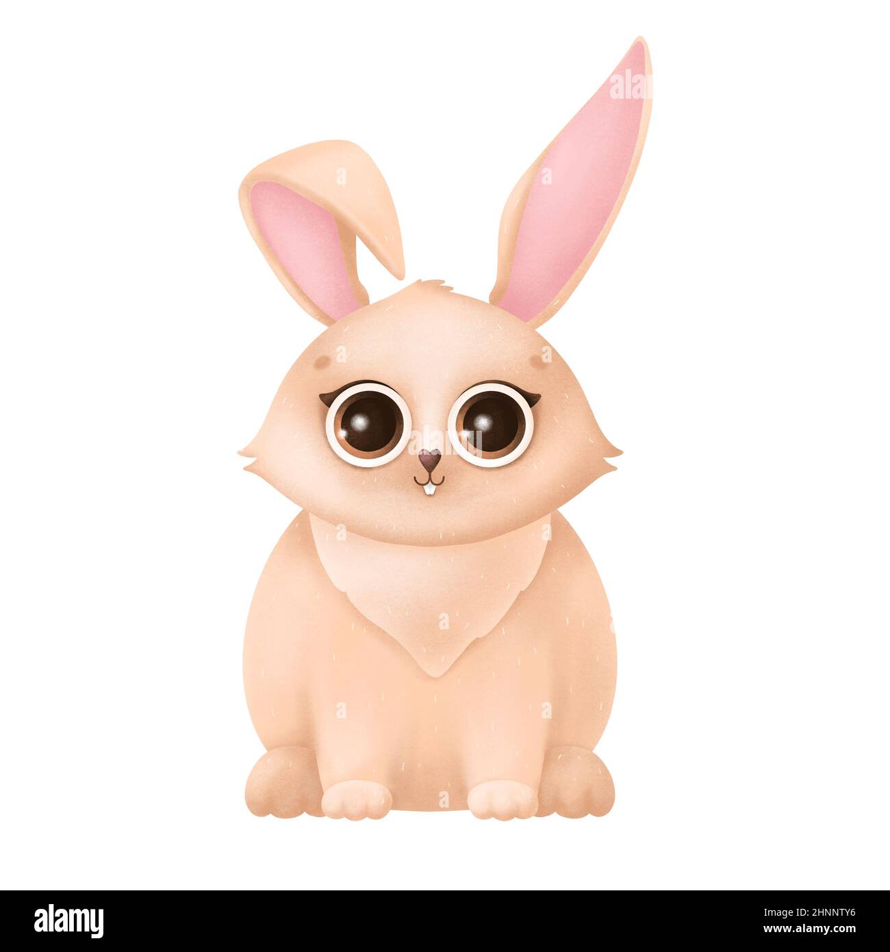 Cute Easter bunny isolated on a white background Stock Photo - Alamy