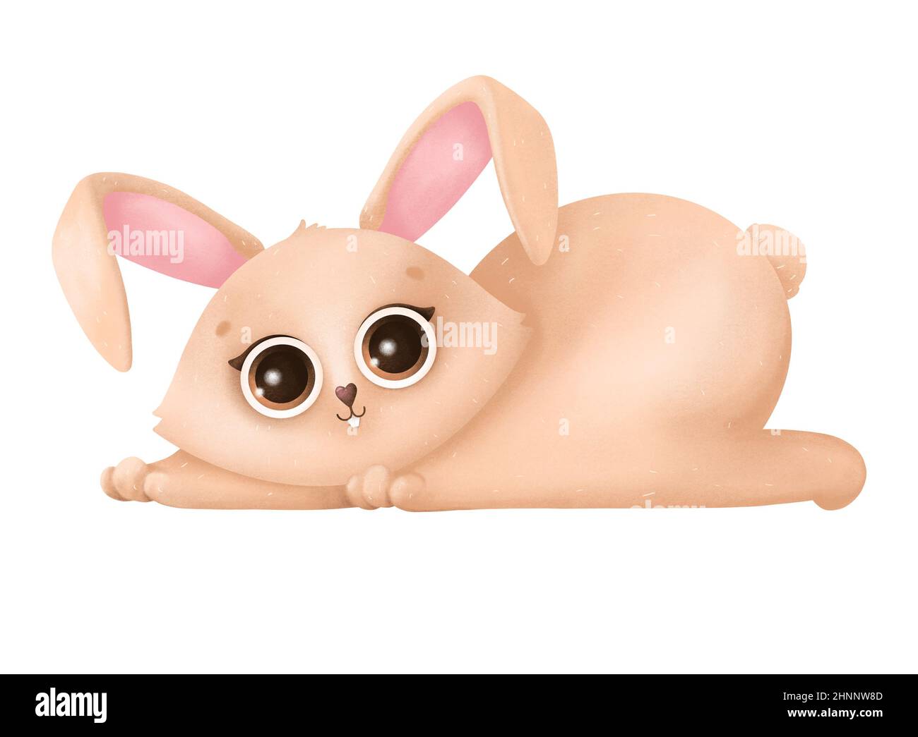Cute Easter bunny isolated on a white background Stock Photo - Alamy