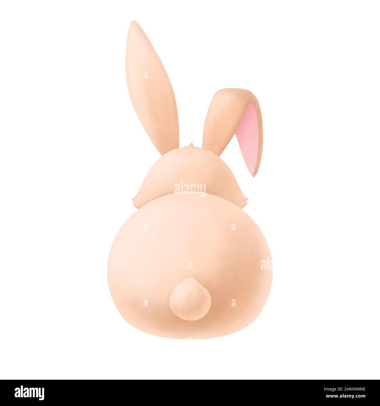 Cute Easter bunny isolated on a white background Stock Photo - Alamy