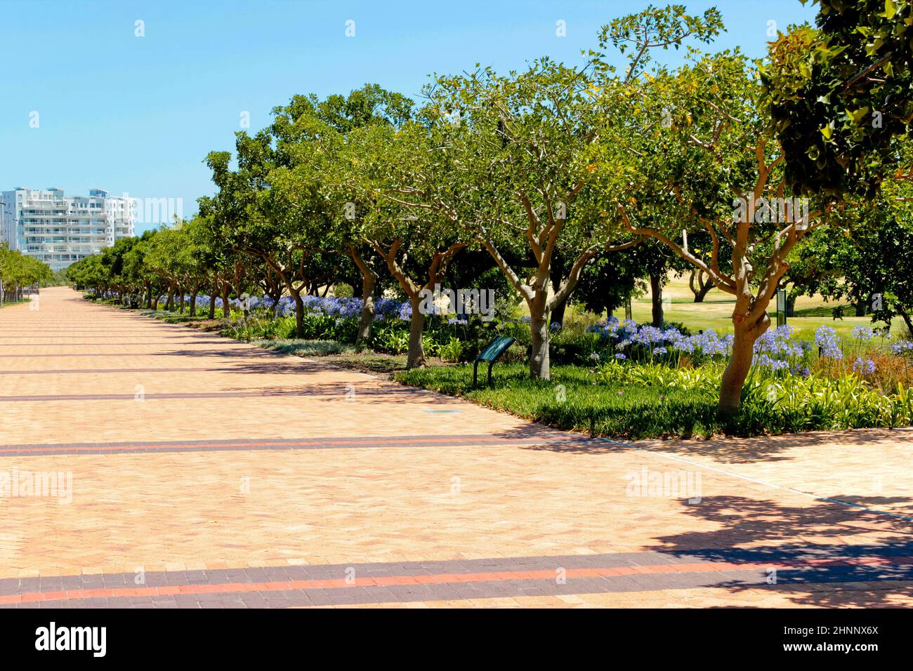 green point park cape town