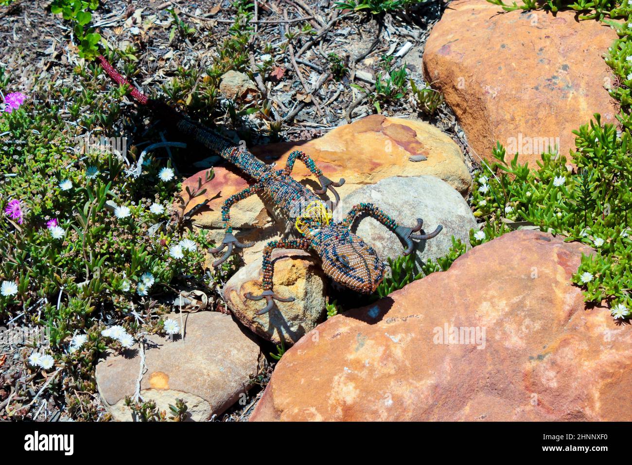 Decorative animals in the garden, flowerbed. Lizard, gecko, reptiles, amphibians. Stock Photo