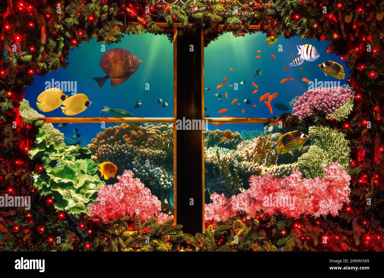 Collage about christmas tree and underwater world. Stock Photo