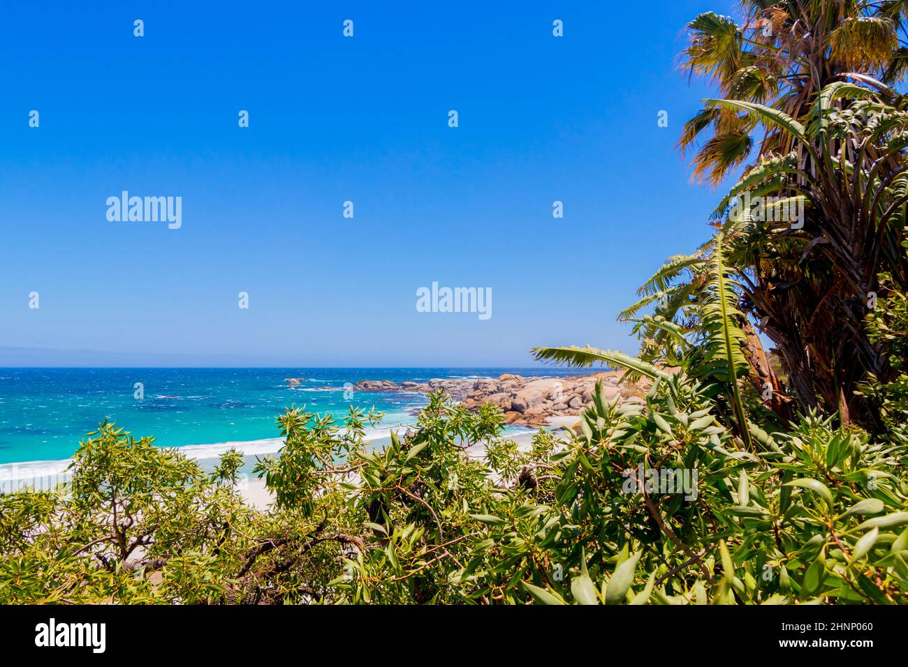 Camps Bay Beach behind palm trees, Cape Town Stock Photo Alamy