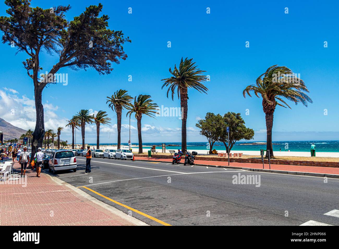 Trees cape town hires stock photography and images Alamy