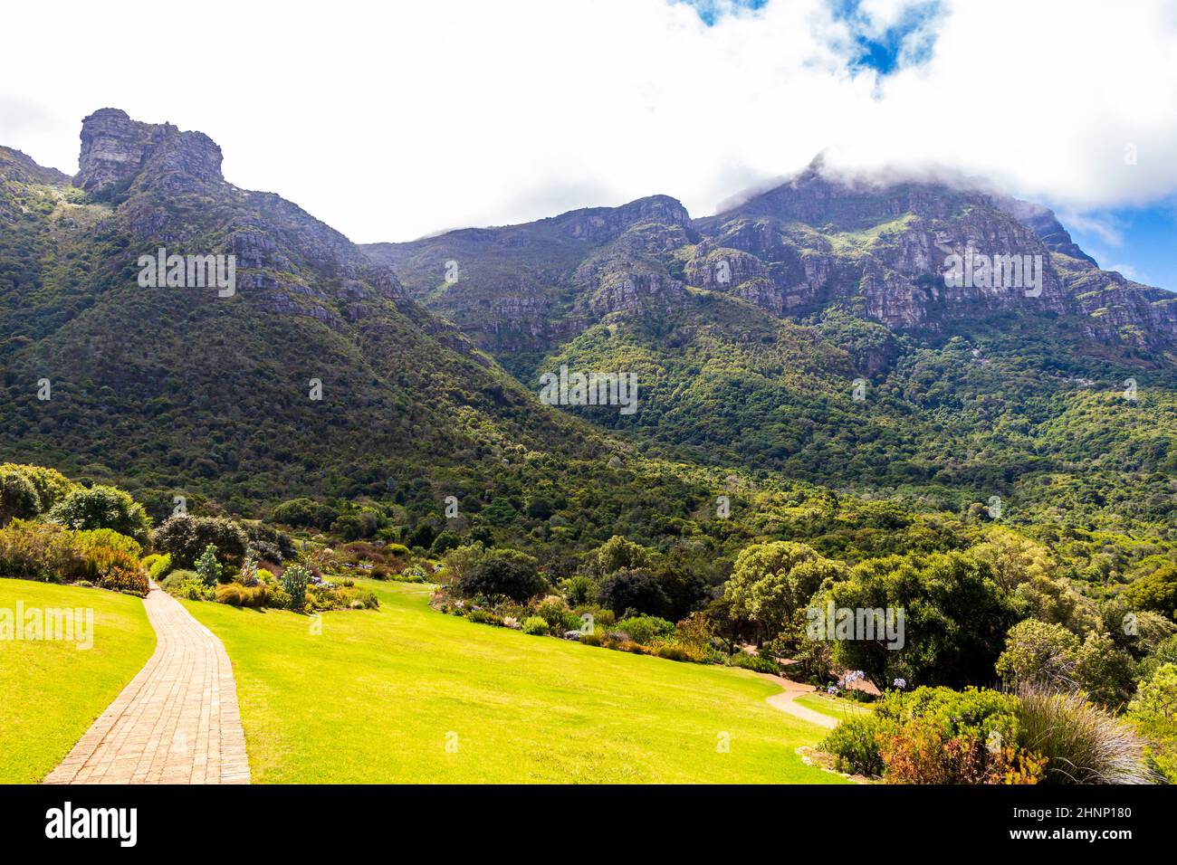 Kirstenbosch National Botanical Garden, Cape Town, South Africa Stock