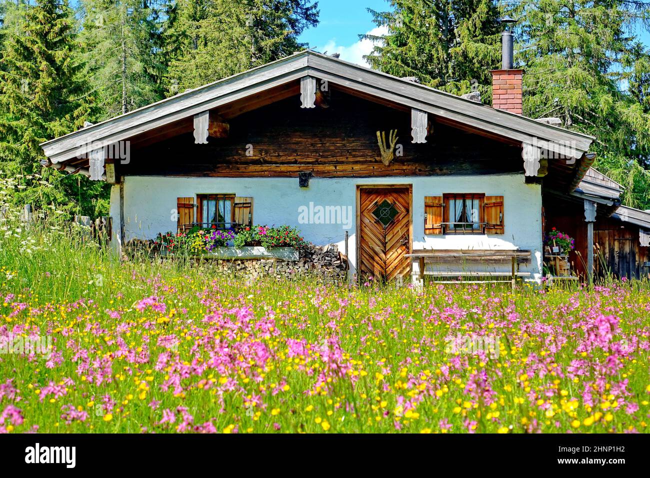 Bavarian, Upper Bavaria, Chiemgau mountains, alpine hut, flower madow, spring, landscape, vacacion Stock Photo