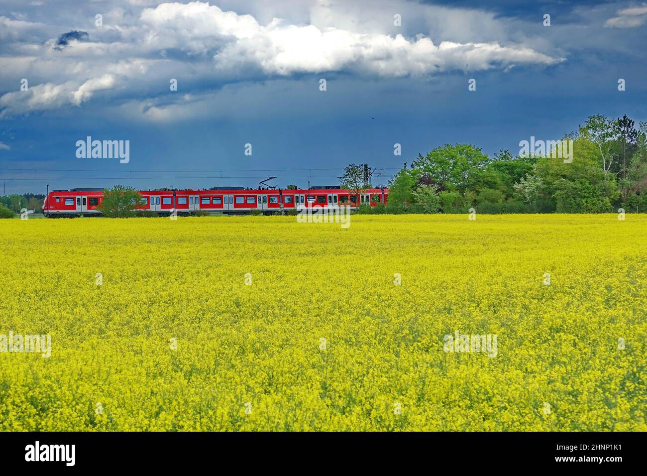 Bavaria, Munich, Landkreis Munich, Local Transport, S-Bahn, Rapeseed field, Thunderclouds Stock Photo