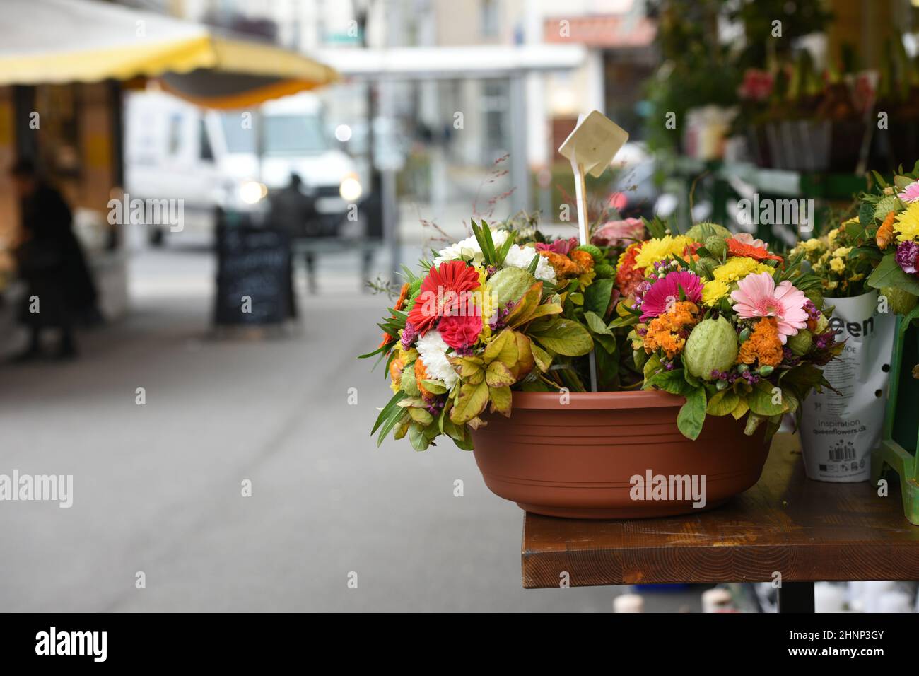 Blumen europa hires stock photography and images Alamy