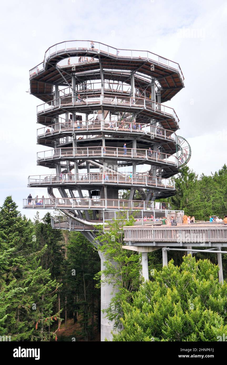 Waldwipfelweg Sankt Englmar Stock Photo - Alamy