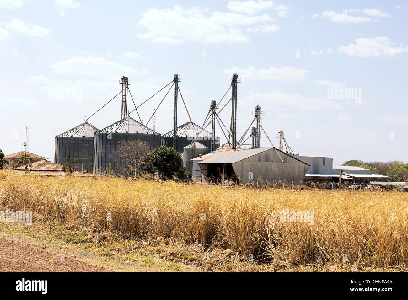 cerrado brazil dry vegetation silo industry agriculture Stock Photo