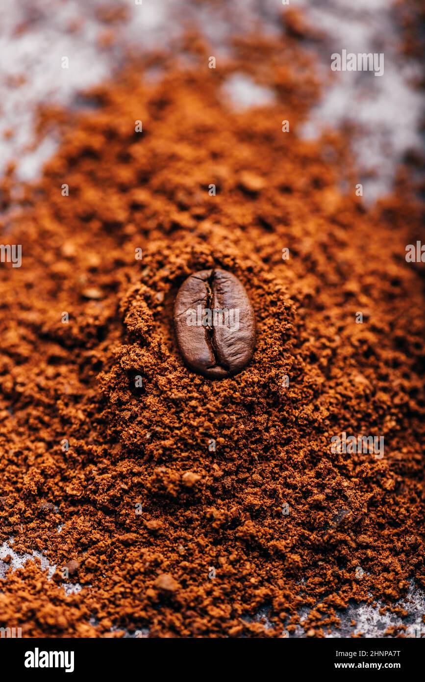 Fresh roasted coffee bean lays on heap of grinded coffee Stock Photo