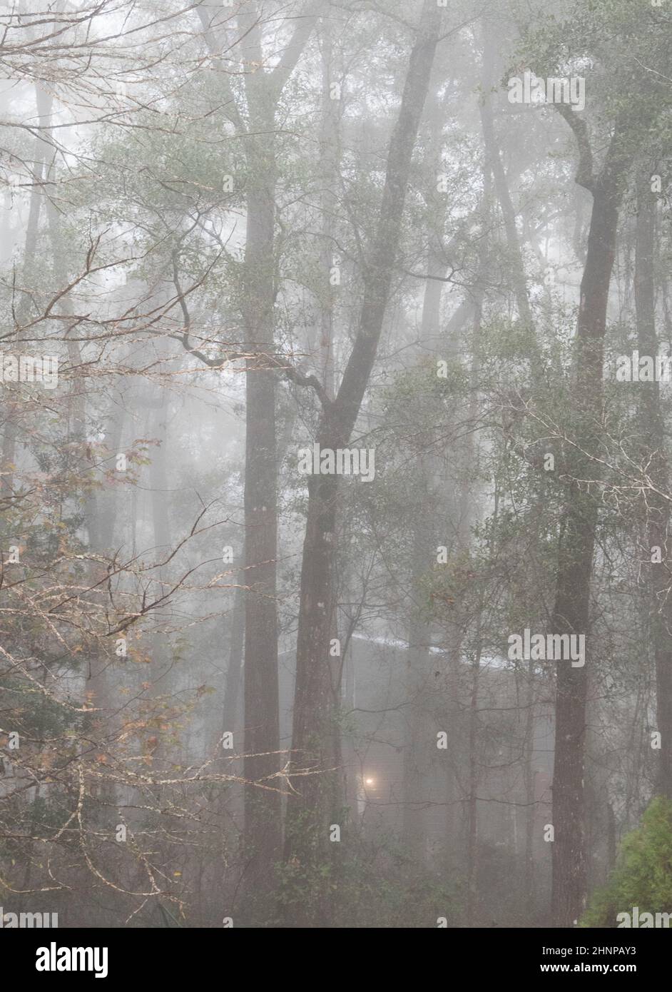 Dense Fog Advisory in effect for North Central Florida. Stock Photo