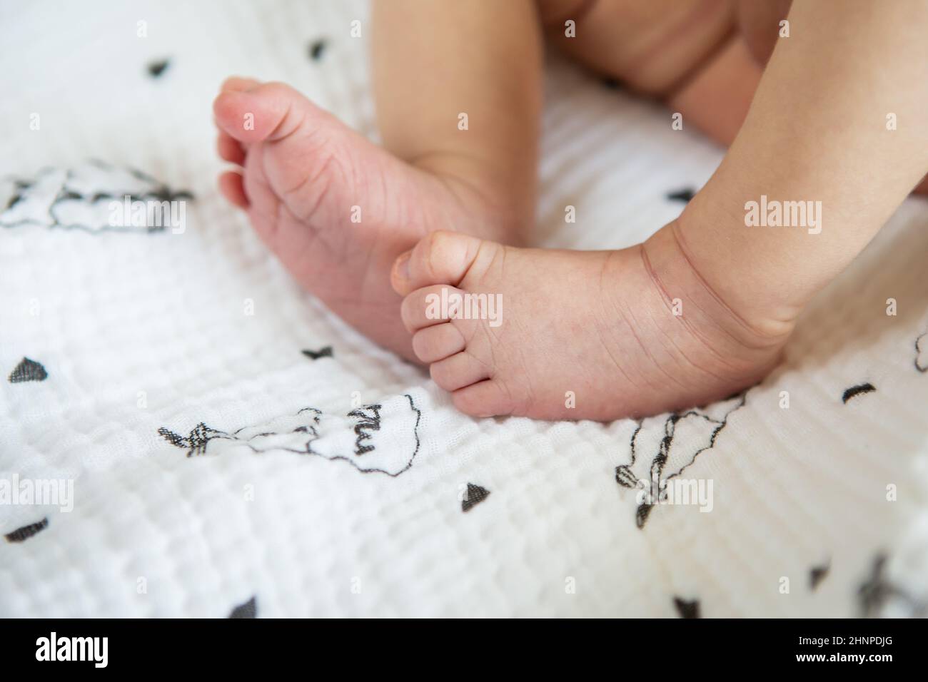 Small feet of a newborn baby. The concept of motherhood, breastfeeding. Stock Photo