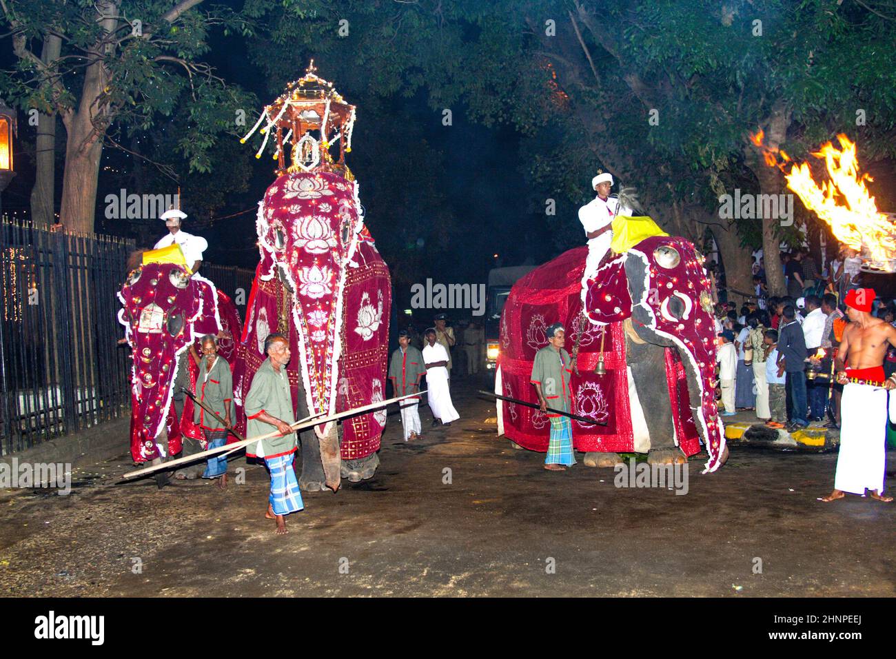 decorated elephants with mahouts participate at the festival Pera Hera in Kandy to celebrate the tooth of Buddha in Kandy Stock Photo