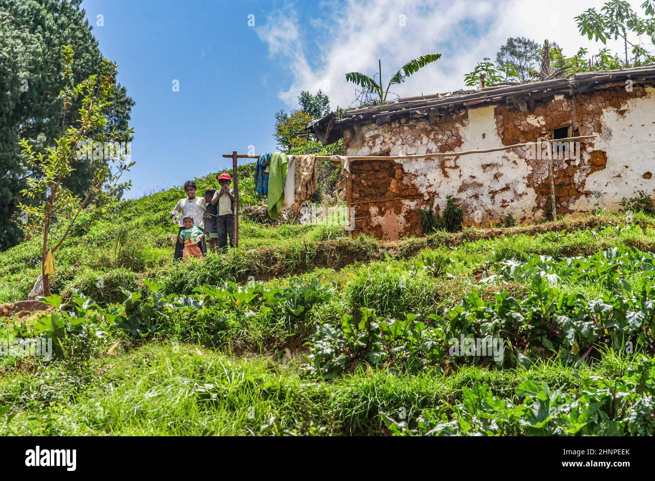 family of poor farmer lives in a loam hut in the terracced field Stock Photo