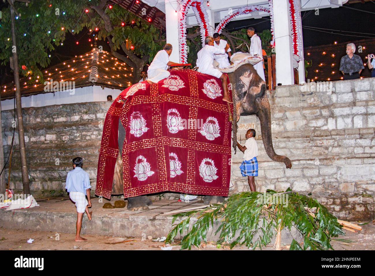 people prepare the elefant for participation at the festival Pera Hera Stock Photo
