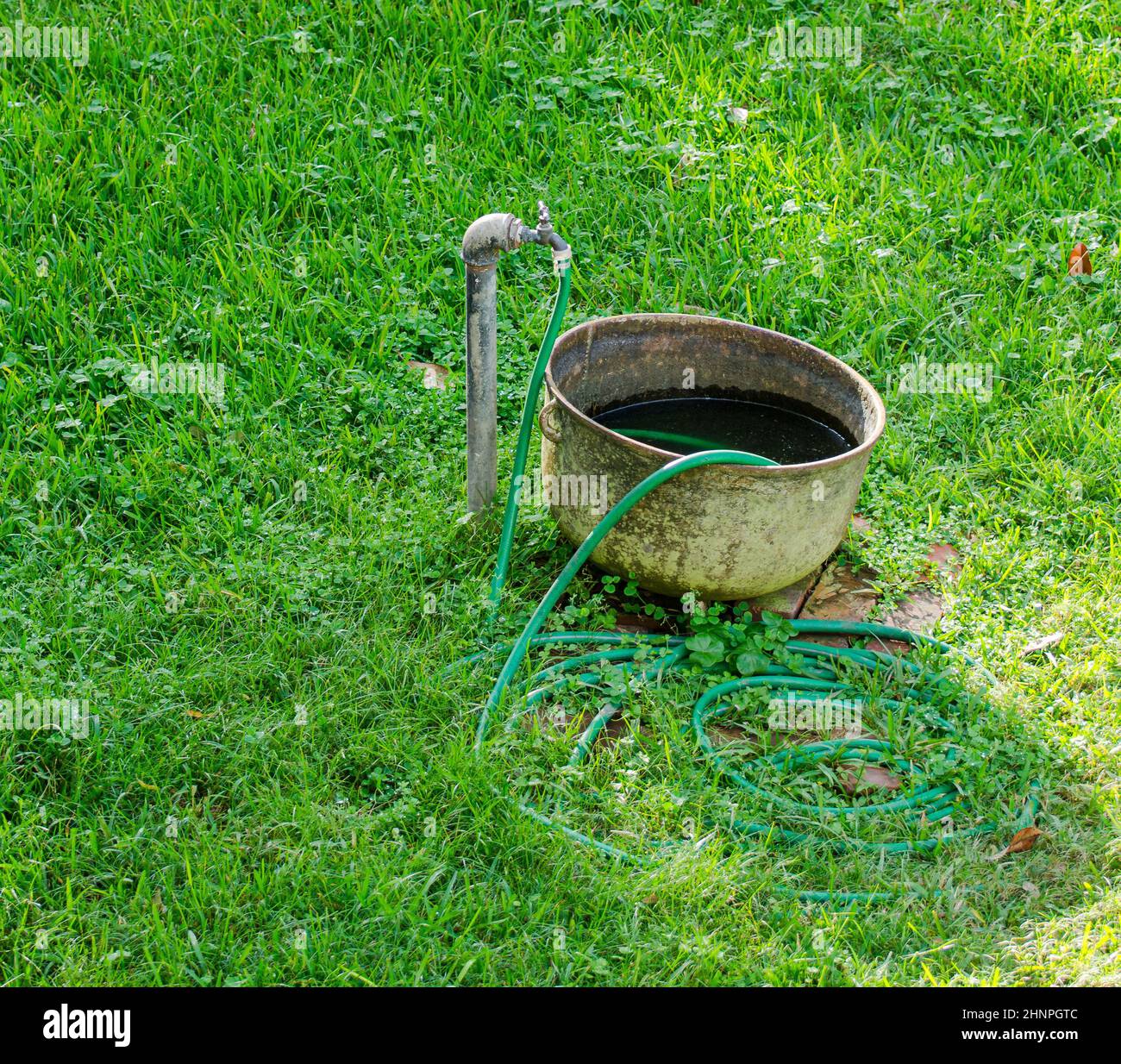 Faucet, tub and garden hose on lawn Stock Photo Alamy