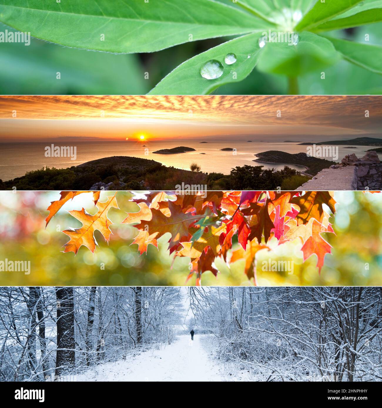 Seasons concept winter fall hi-res stock photography and images - Alamy