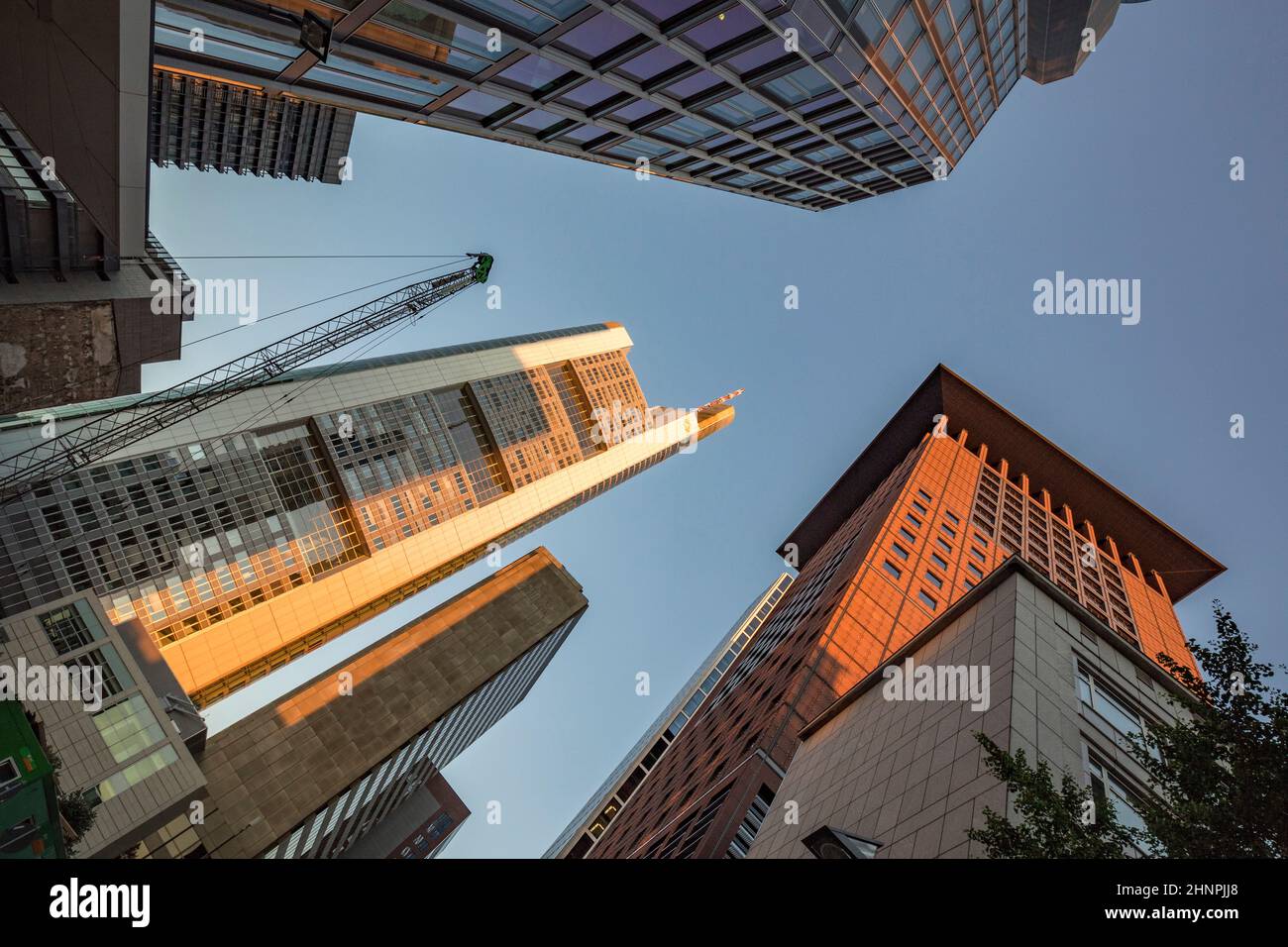 perspective of skyscrapers in Frankfurt am Main Stock Photo - Alamy