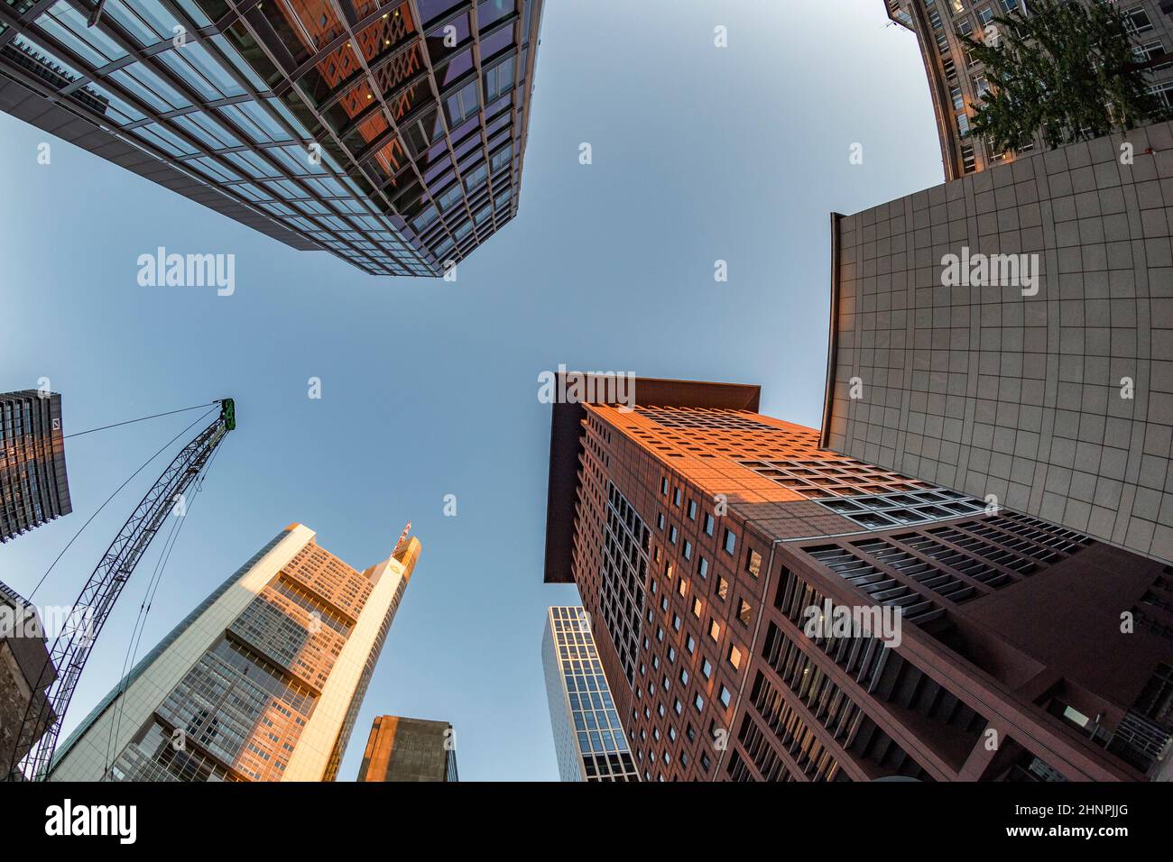 perspective of skyscrapers in Frankfurt am Main Stock Photo - Alamy