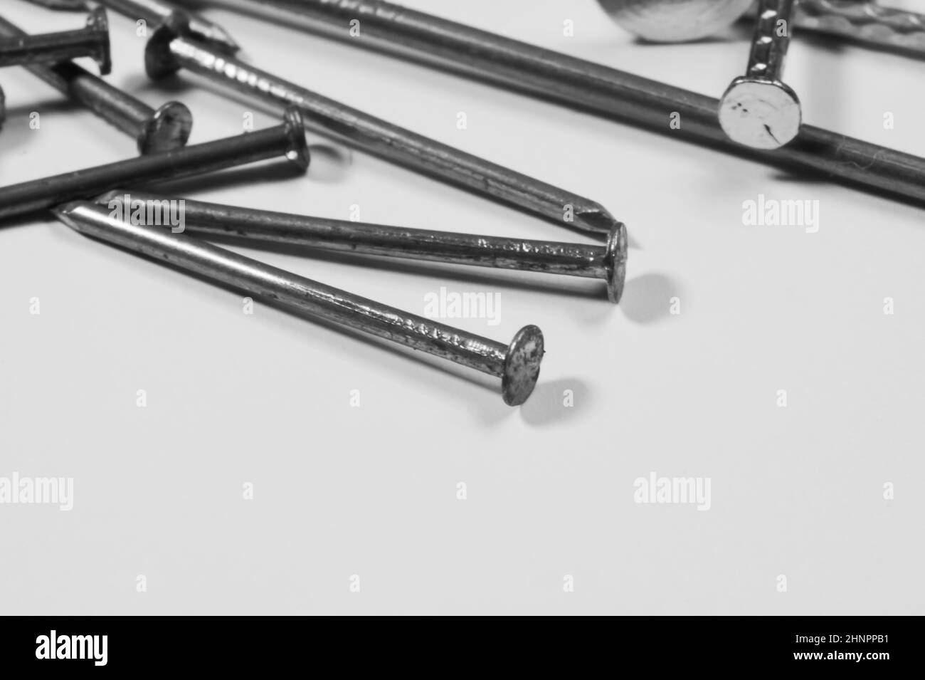 Metal nails isolated on white background Stock Photo Alamy