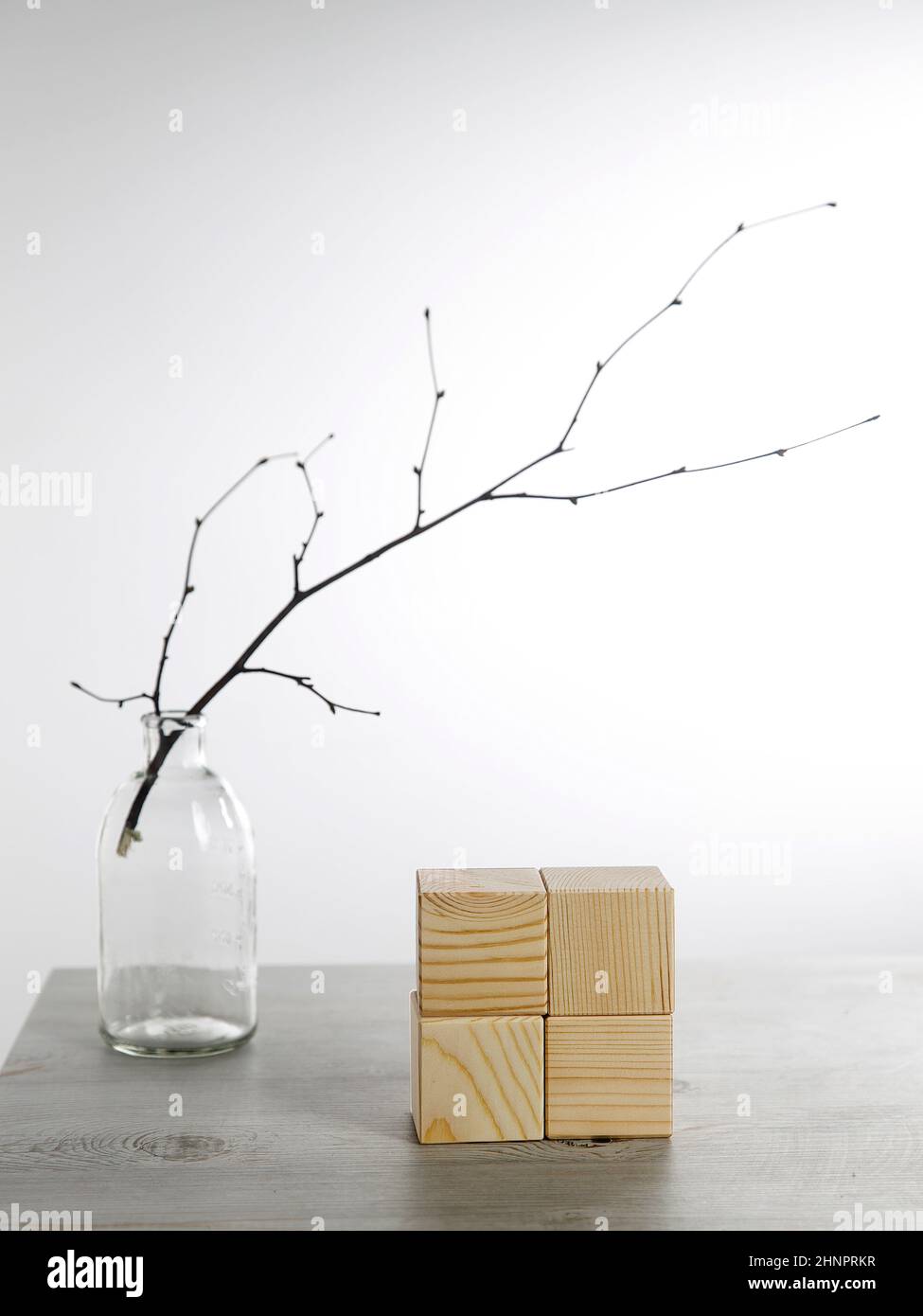 An unblown linden branch in a glass vase and four wooden cubes with ...