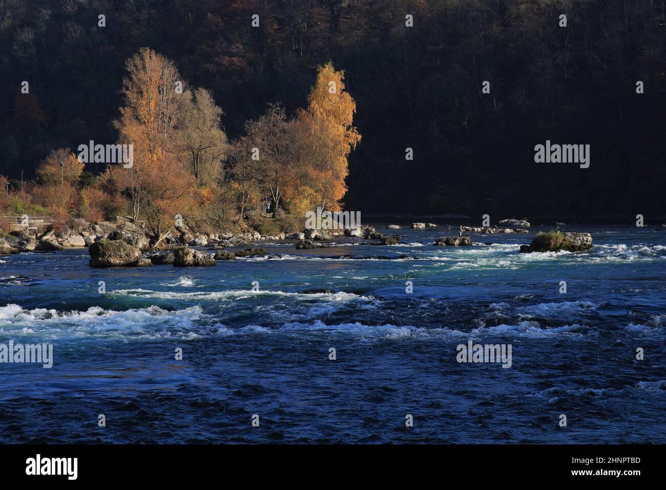 Autumn scene at the river Rhine in Schaffhausen Stock Photo