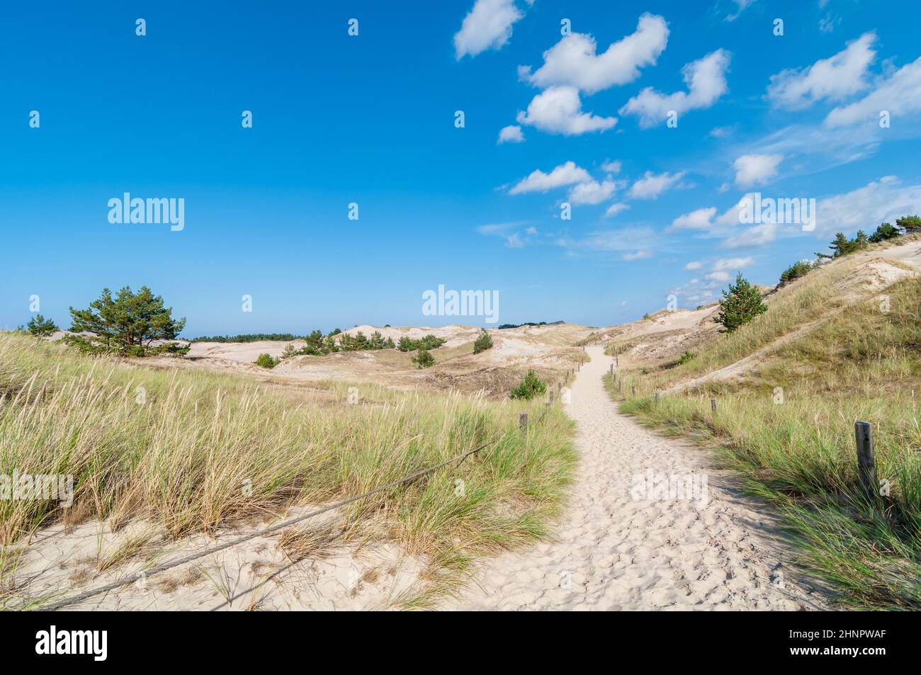 Beautiful wallpaper footpath through hi-res stock photography and ...