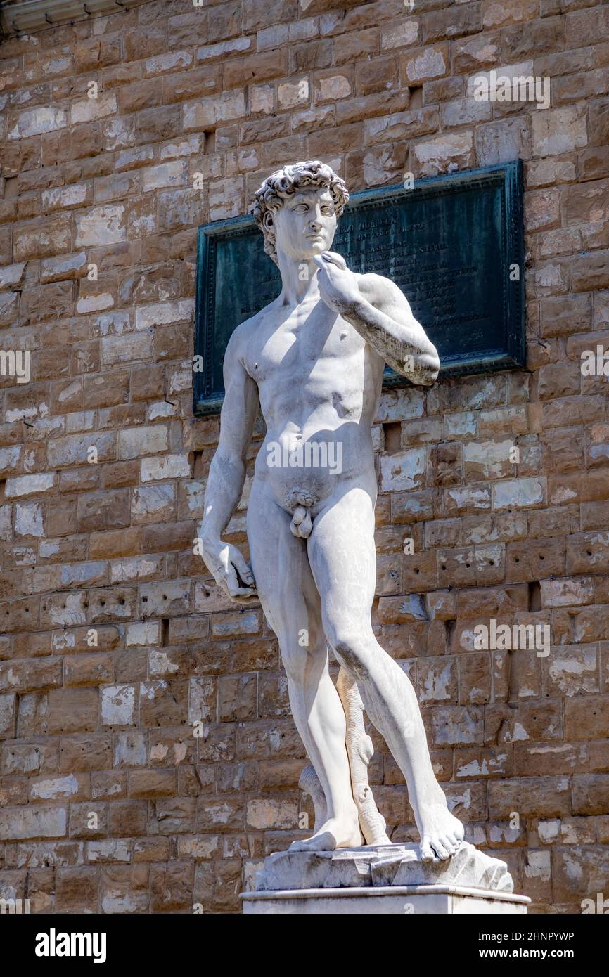 The statue of David by Michelangelo on the Piazza della Signoria in Florence, Italy Stock Photo