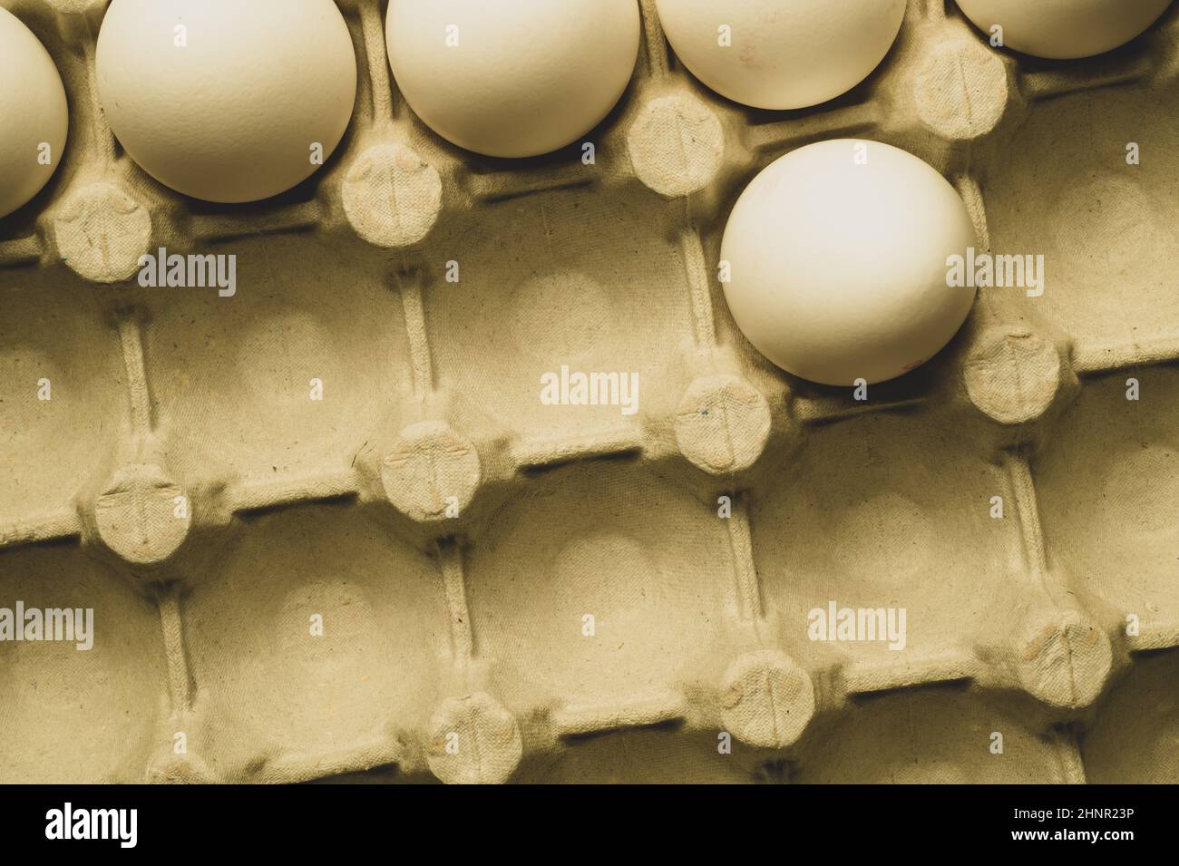 White eggs in carton box background. food ingredient. protein nutrition