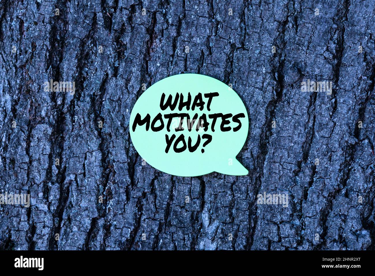 Conceptual caption What Motivates Youquestion, Word Written on know ...