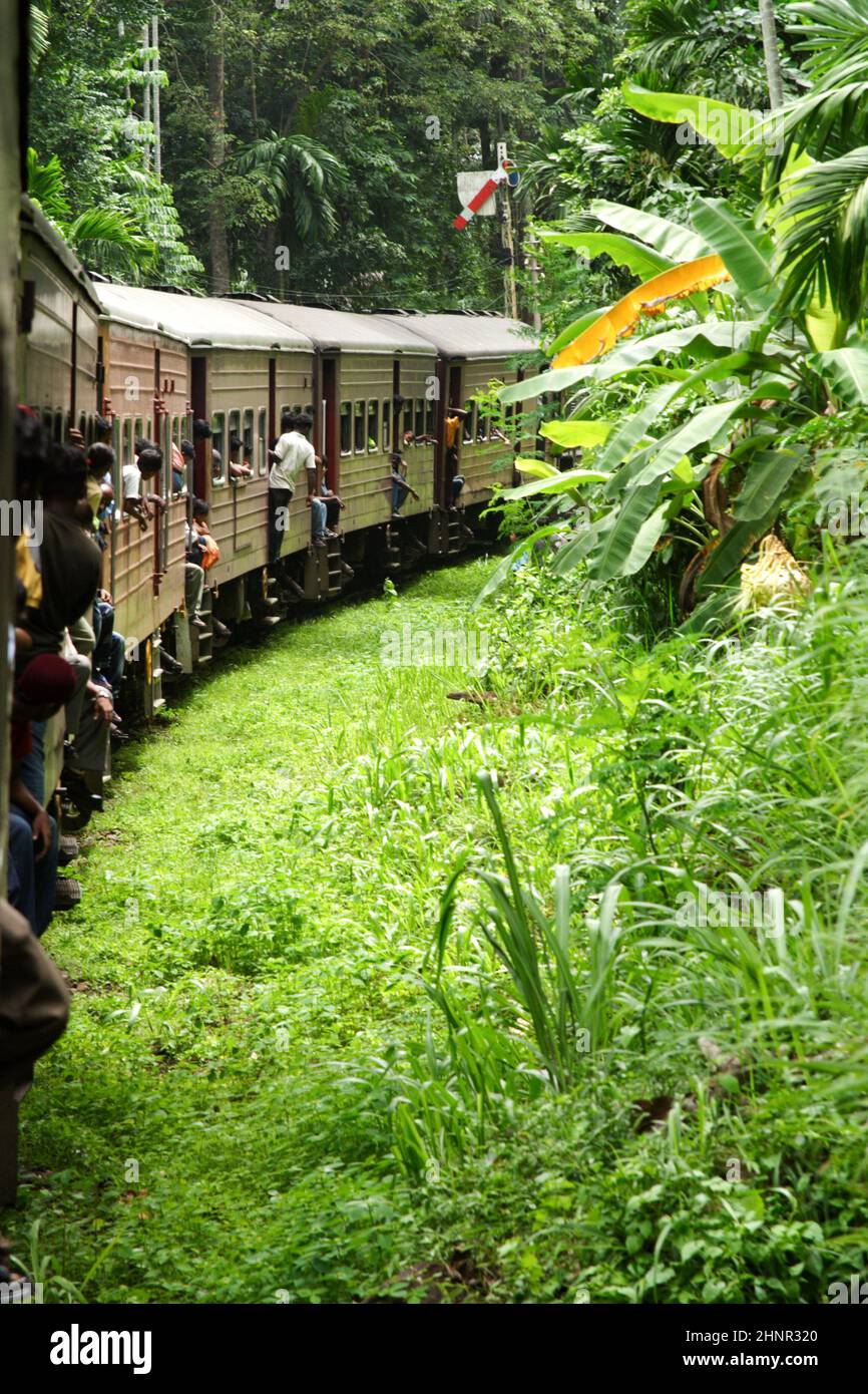 riding by train the scenic mountain track from Nuwarelia to Colombo Stock Photo