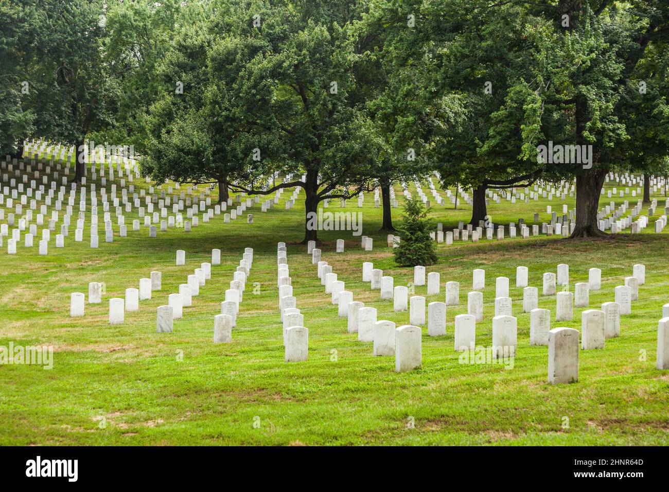 Headstones at the Arlington national Cemetery Stock Photo