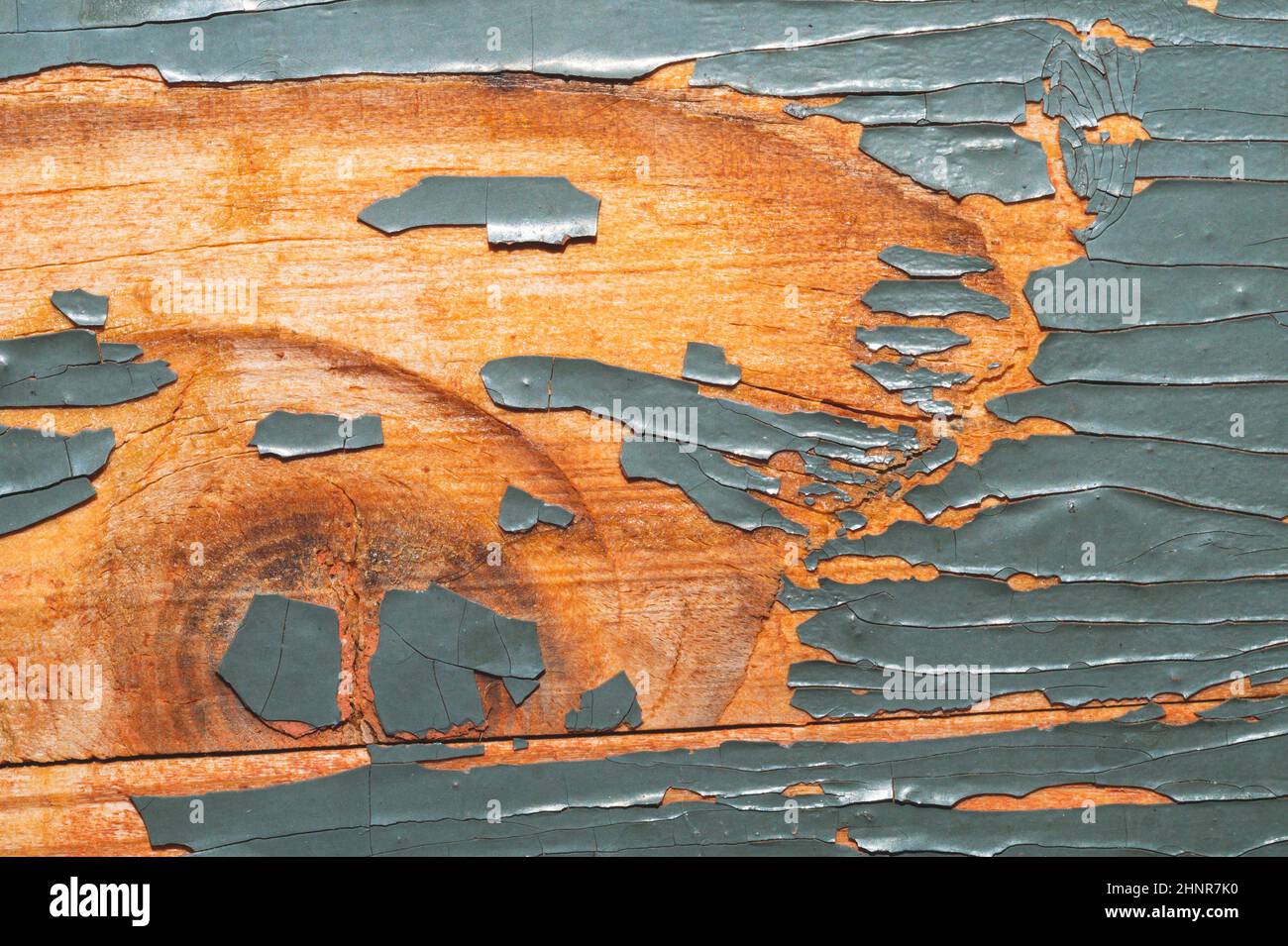 Rough wood texture with peeling paint. old wooden texture with cracked