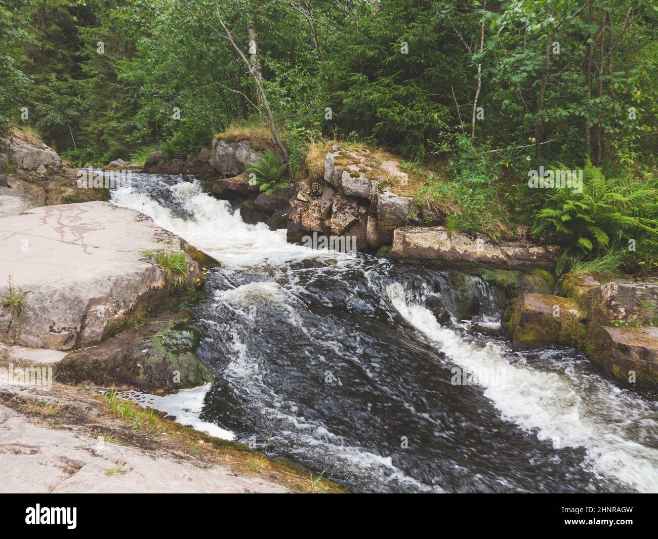 Mountain river. waterfall in dense forest. woodland creek. water flow