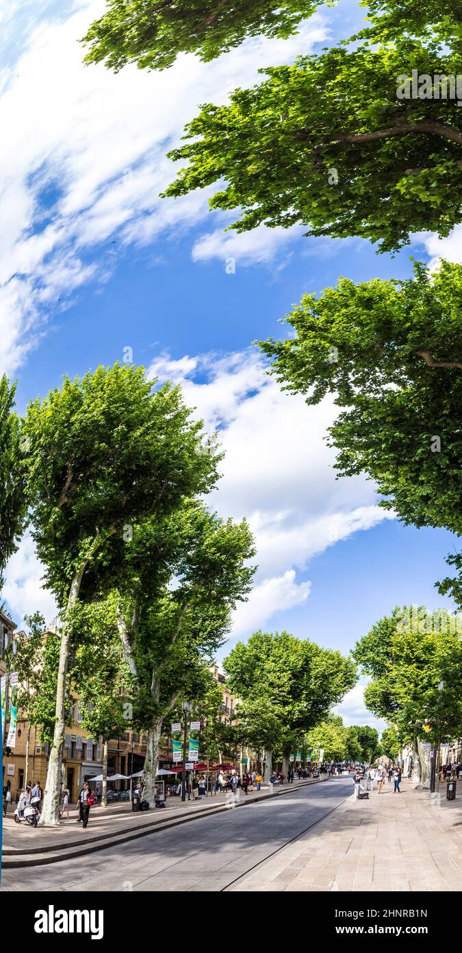 Main alley trees in hi res stock photography and images Alamy