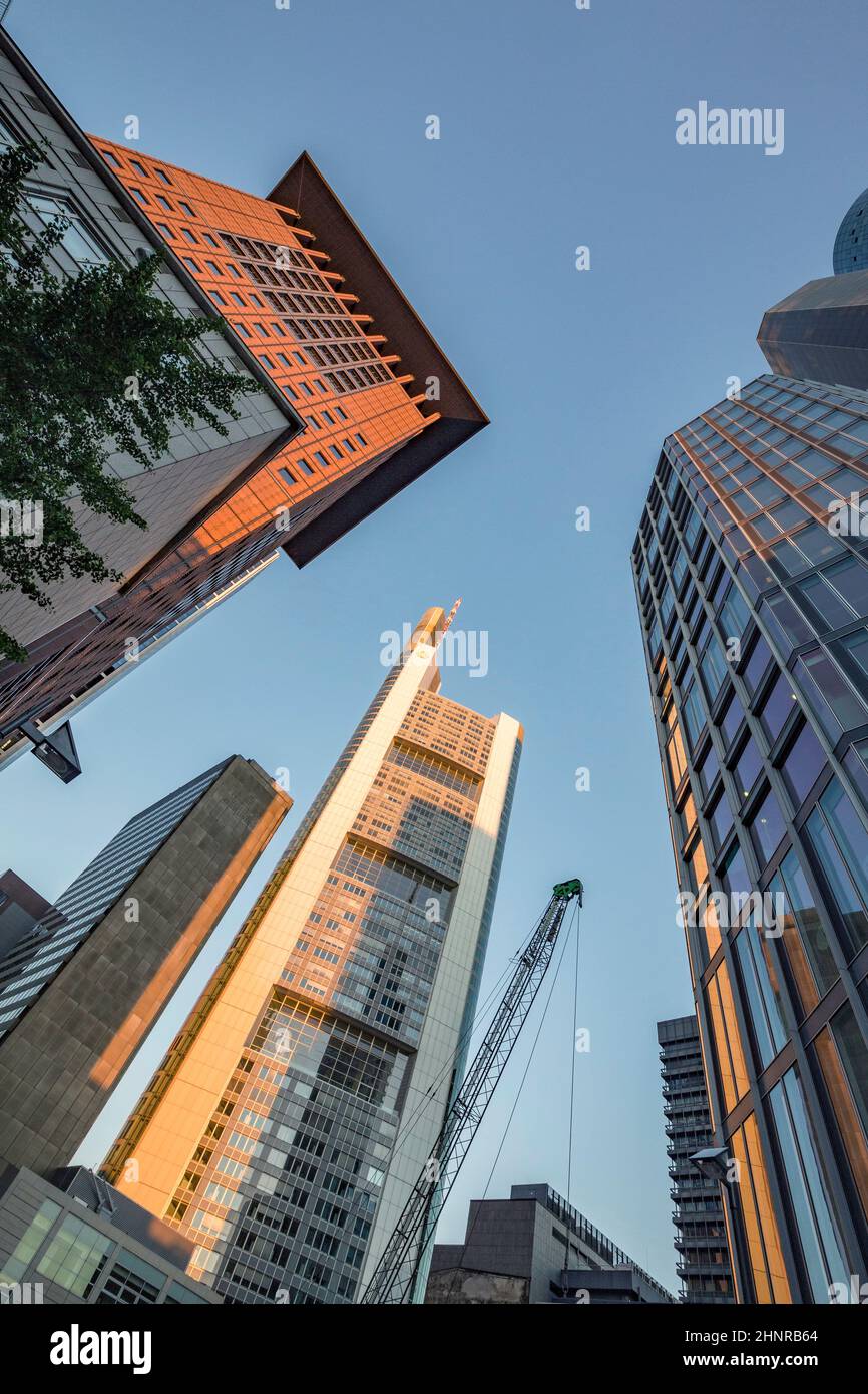 perspective of skyscrapers in Frankfurt am Main Stock Photo - Alamy