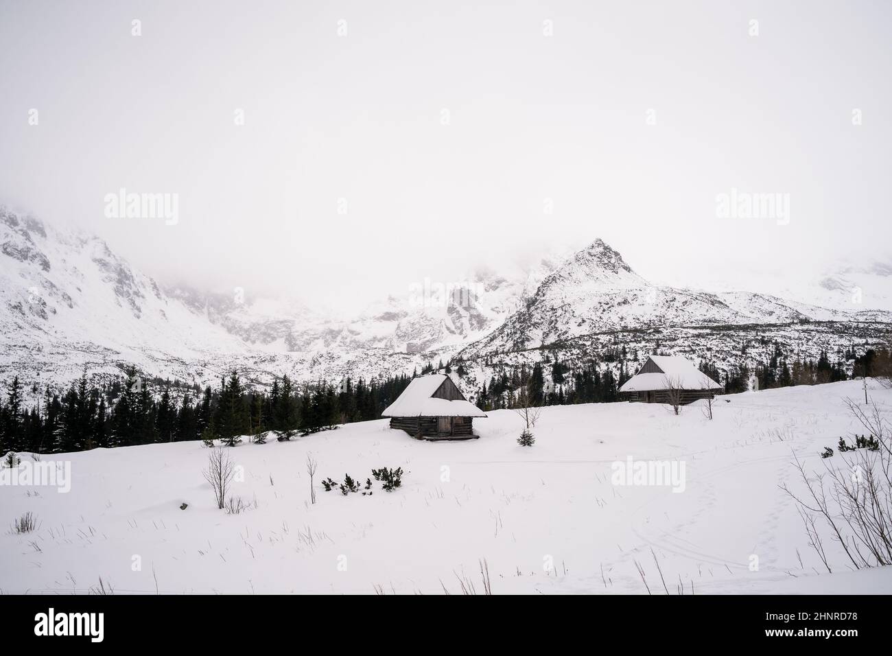 Beautiful view of a snowy mountain with trees and a house on the ...