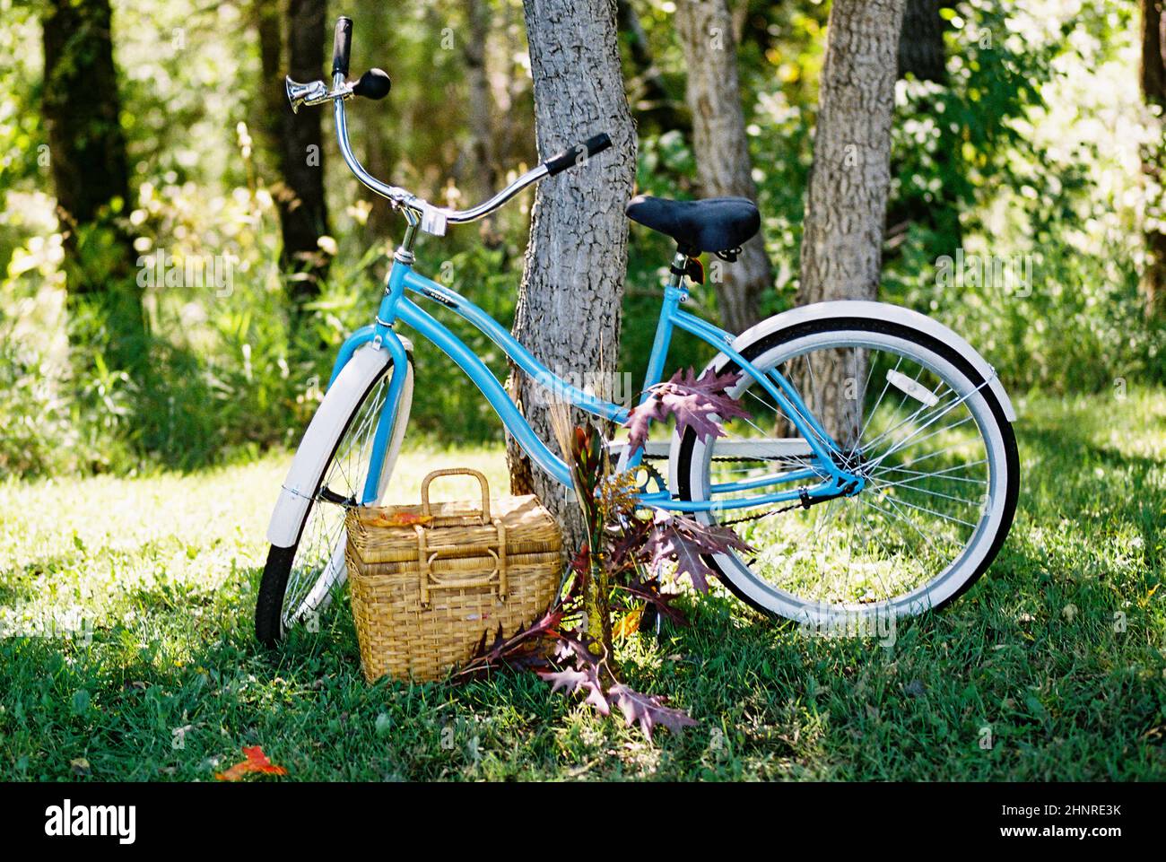 Light Blue Vintage Bike in a Grassy Area with a Picnic Basket Stock Photo Alamy