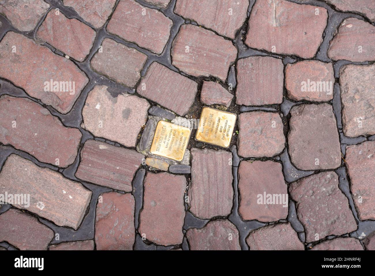 Stumbling blocks at Freiburg Stock Photo